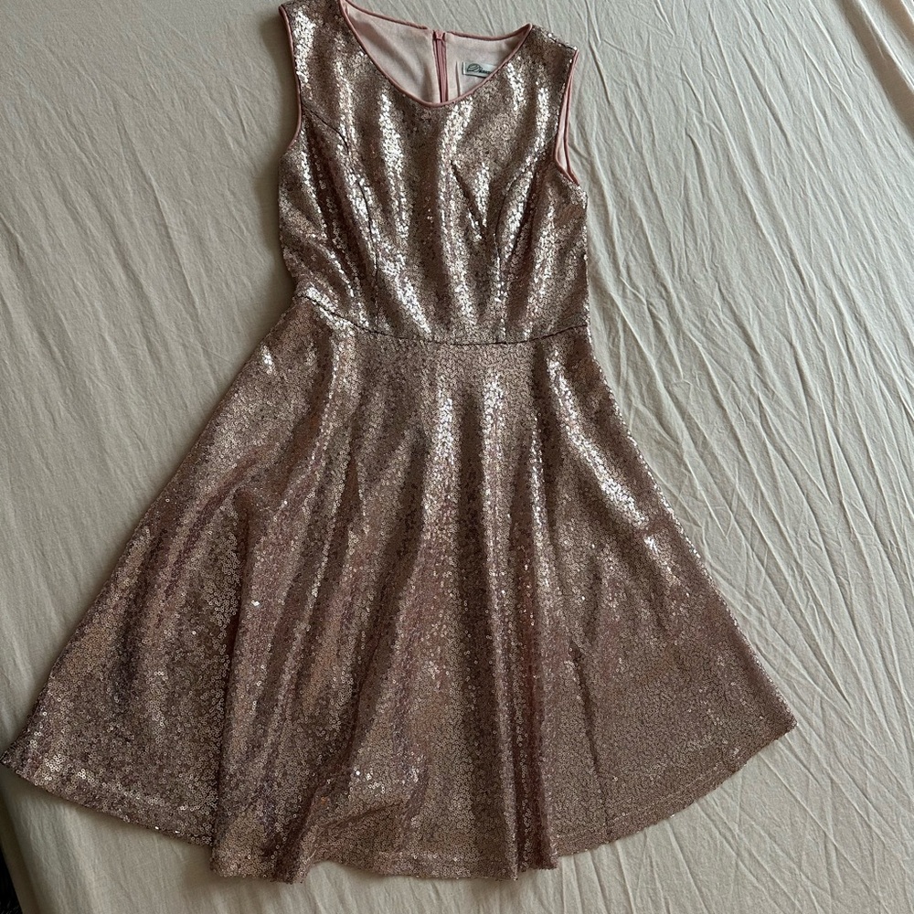 Sparkling Sequin Dress